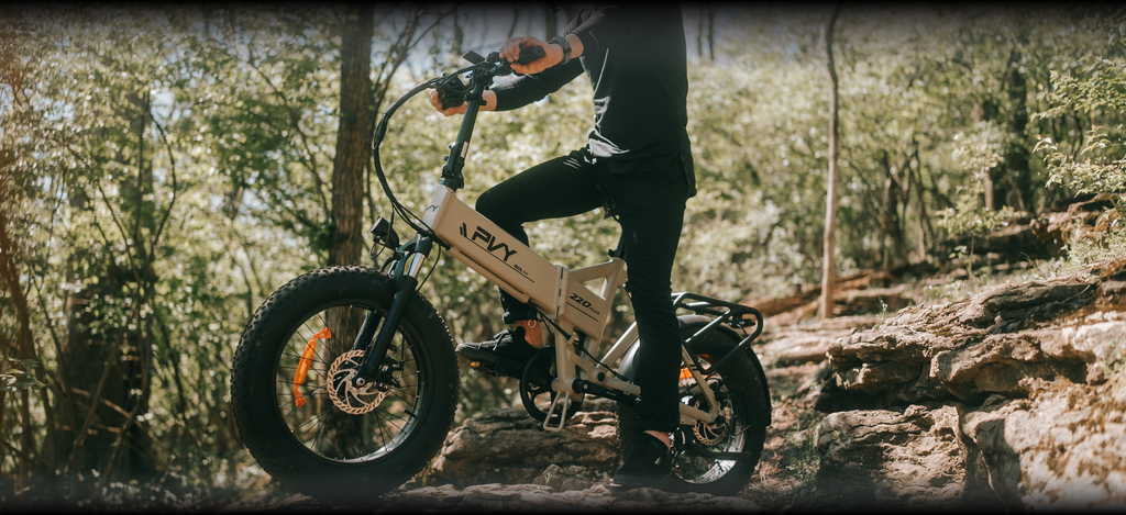 All-Terrain Folding Electric Bike 1000W Motor, 48V Battery, Fat Tires, Dual Suspension